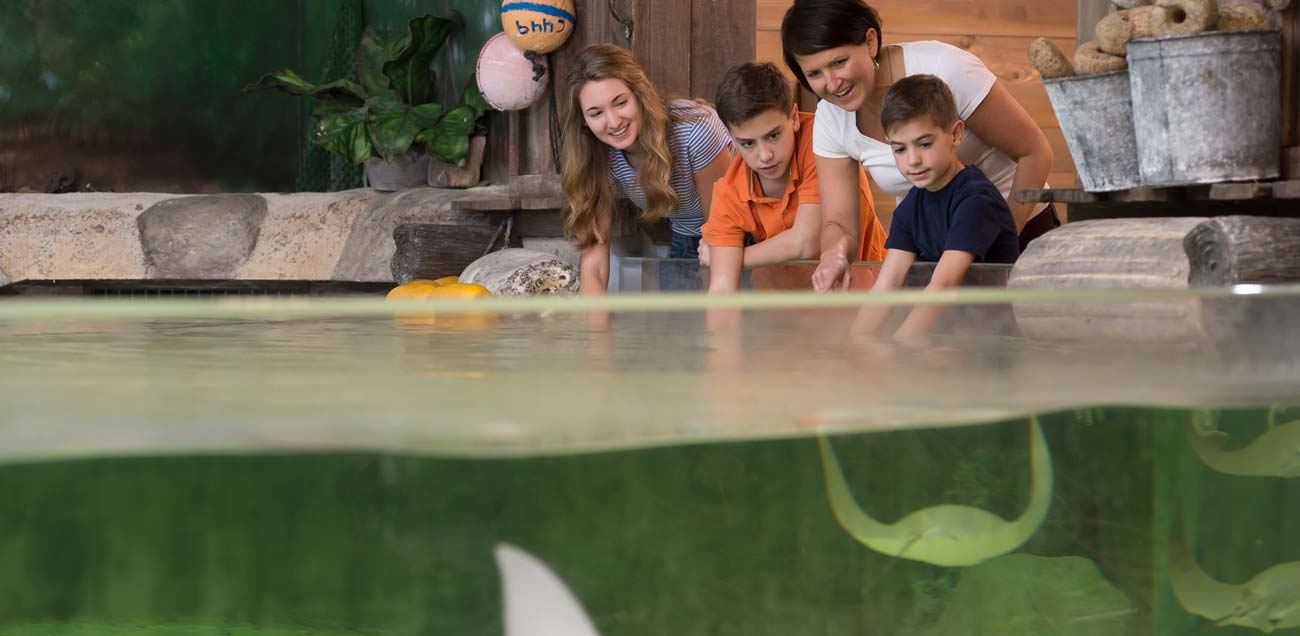 Rock and Roar at the Fort Wayne Children's Zoo