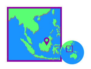 Clouded Leopard Project | Fort Wayne Zoo