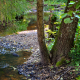 Little River Wetland Project