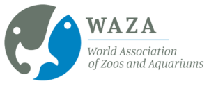 Waza Logo New Waza Logo New