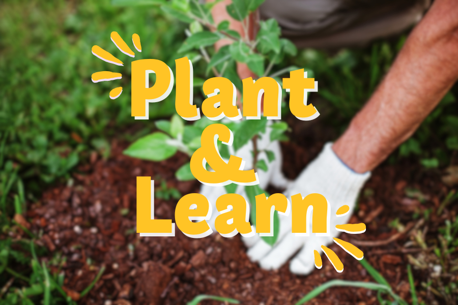 Plant & Learn Header (2)