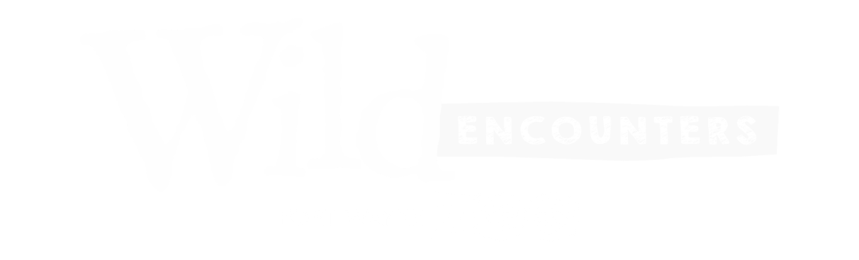 Wild Encounters Logo (6) Wild Encounters Logo (6)