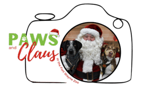 Paws And Claus Logo (20)