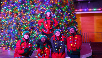 Elves At Christmas Elves At Christmas