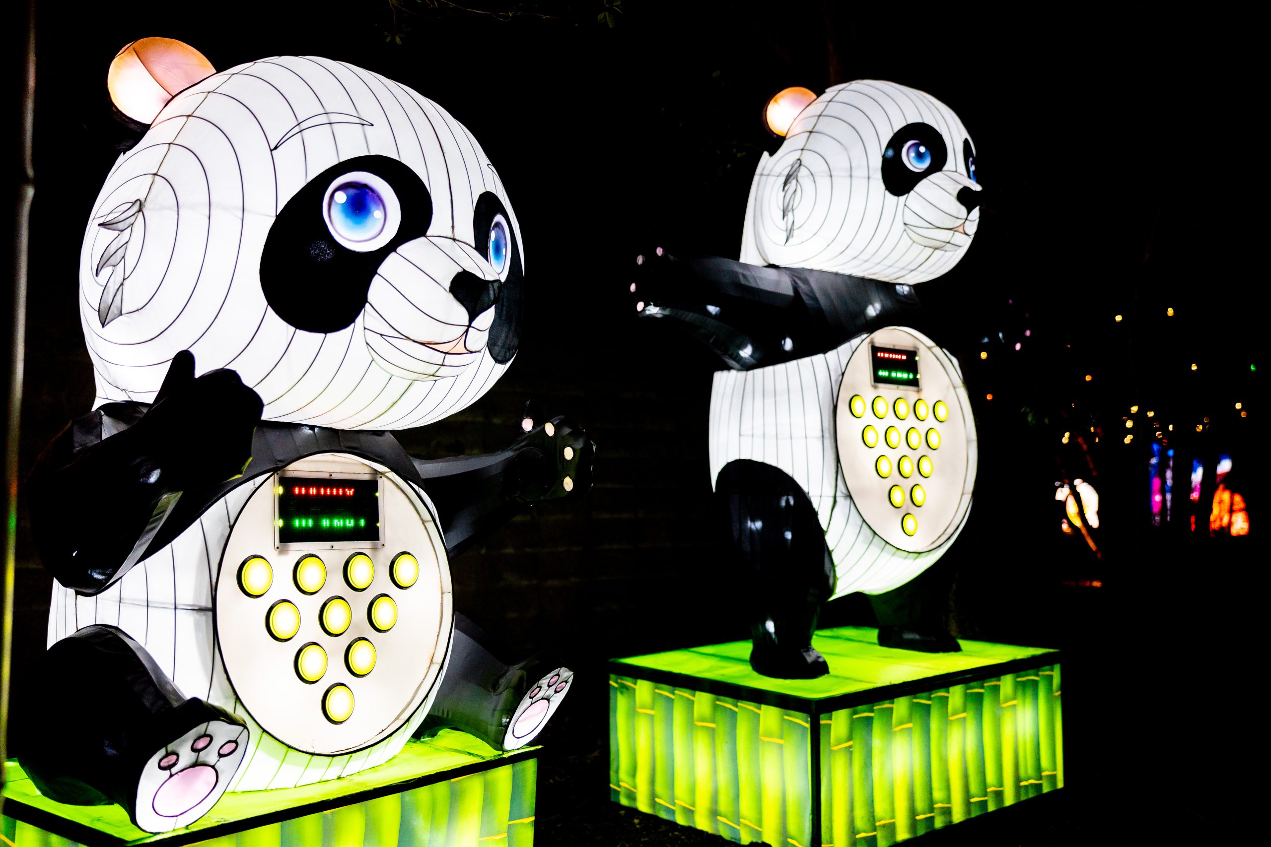 Panda Lantern Interactive Panda Lantern in a night setting