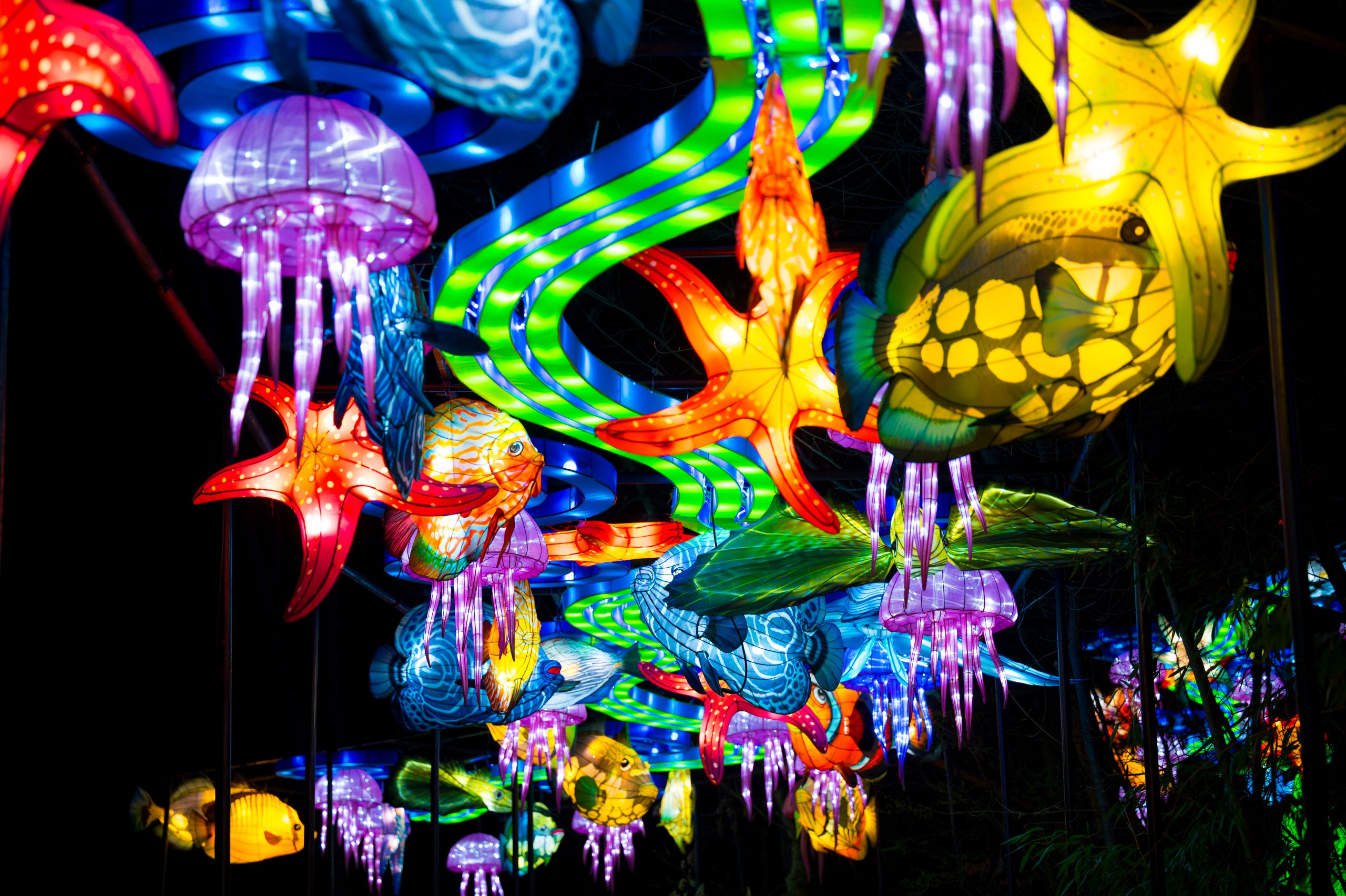 GR LANTERN FESTIVAL 2024 121 GR LANTERN FESTIVAL 2024 121