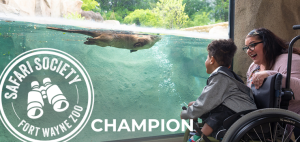 SAFARI SOCIETY Champion SAFARI SOCIETY Champion