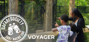 SAFARI SOCIETY Voyager SAFARI SOCIETY Voyager