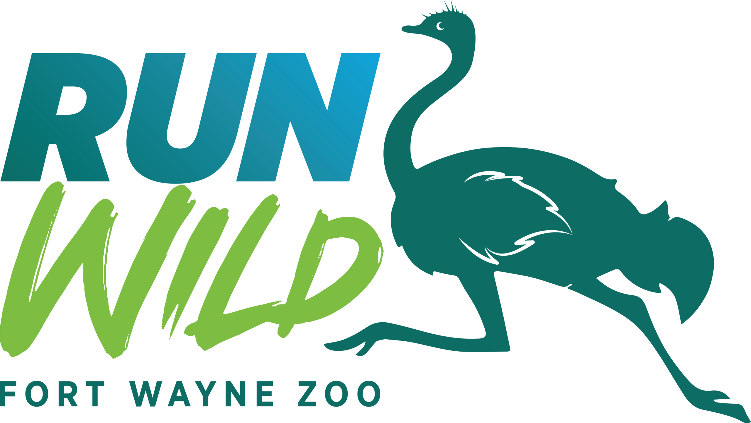 Run Wild Color 2025
