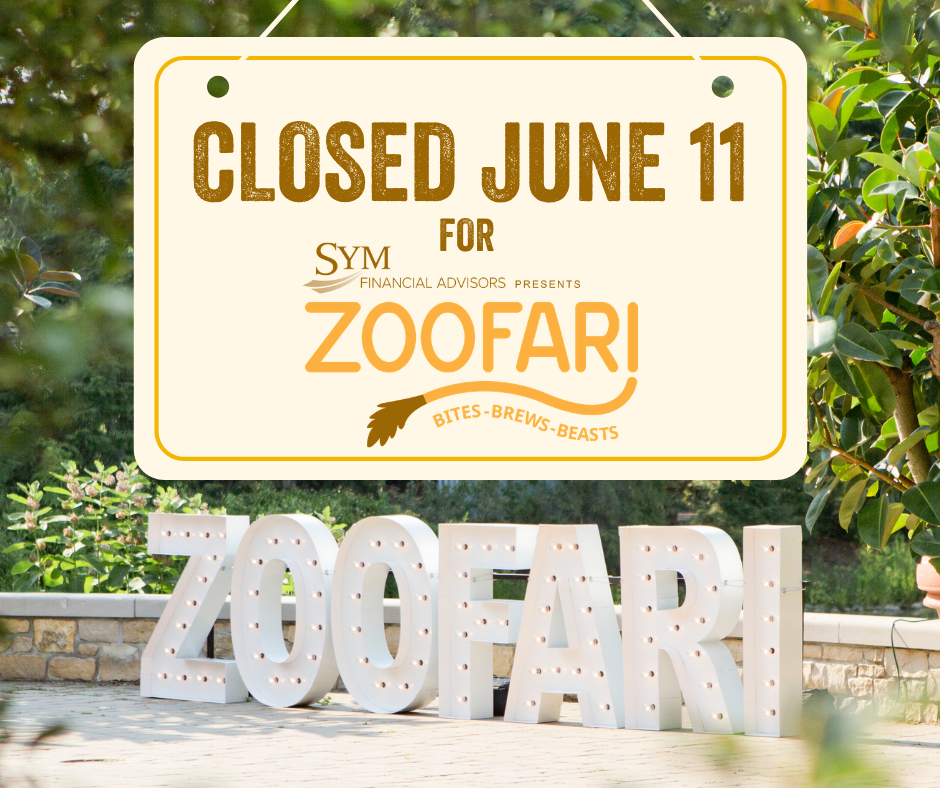 Kids Zoo Banner Image