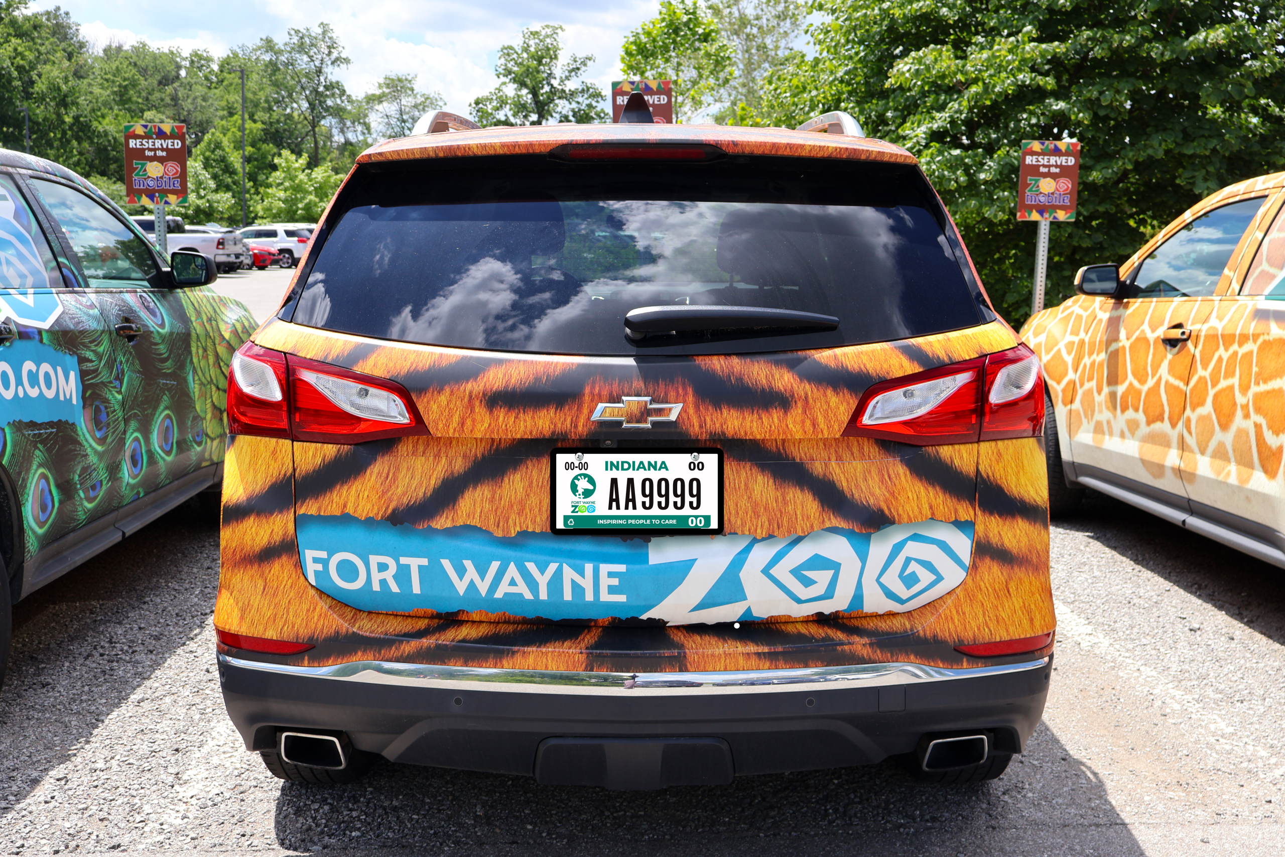 Car License Plate Image Car License Plate Image