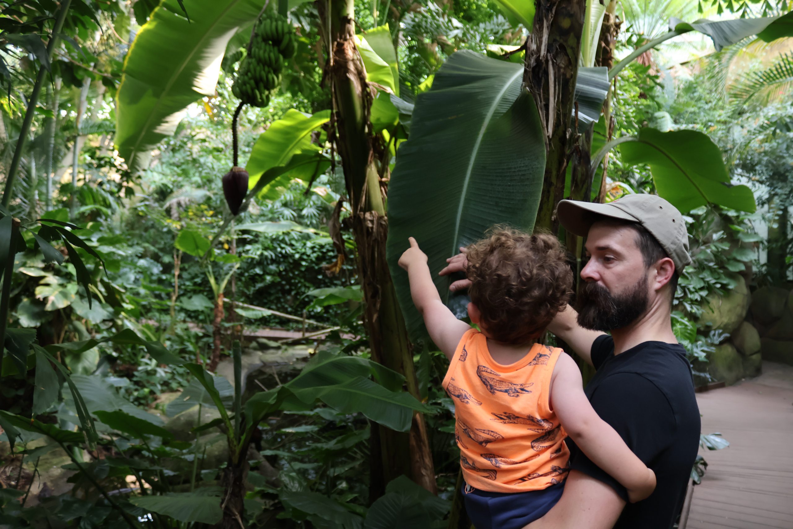 Father holding toddler son looking at the indoor Indonesian Rainforest habitat