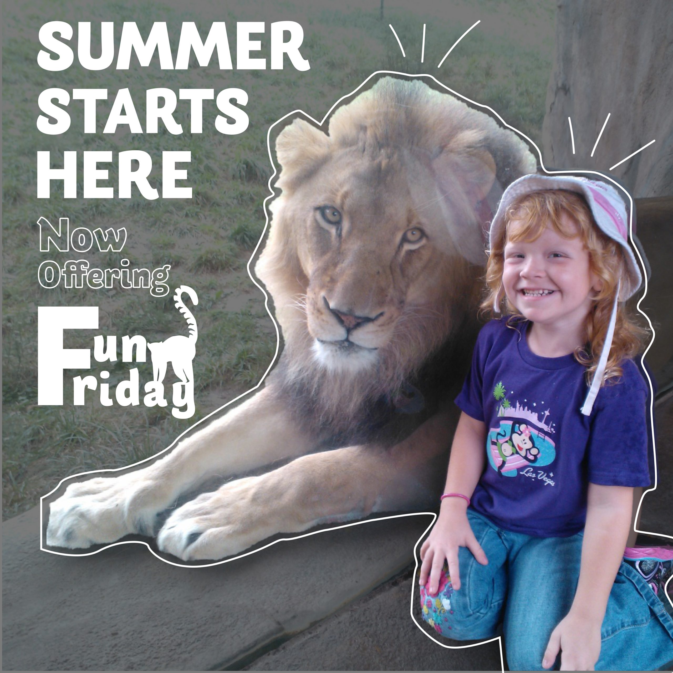 Kids Zoo Banner Image