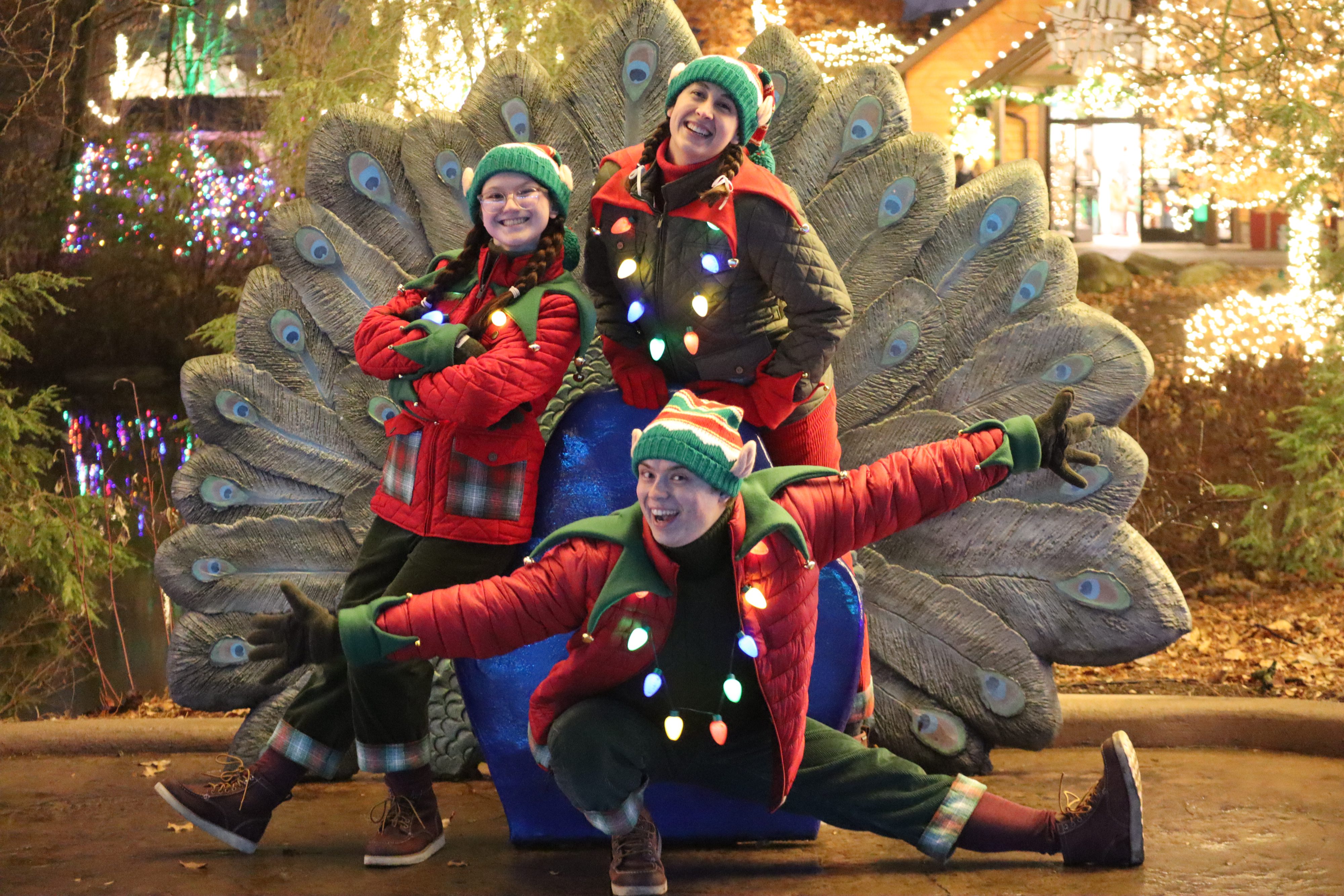 Three Elves posing in front of a photo op peacock chair