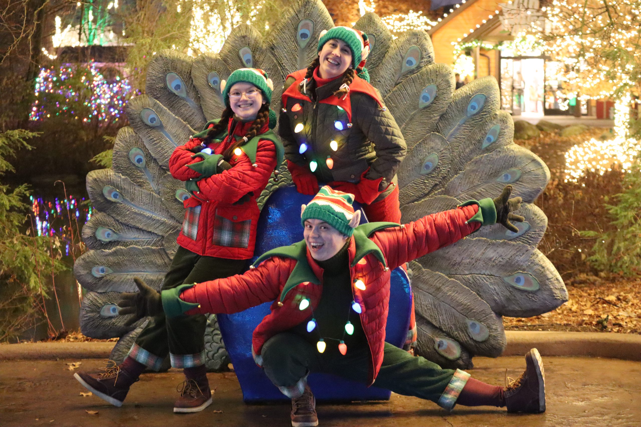 Three Elves posing in front of a photo op peacock chair